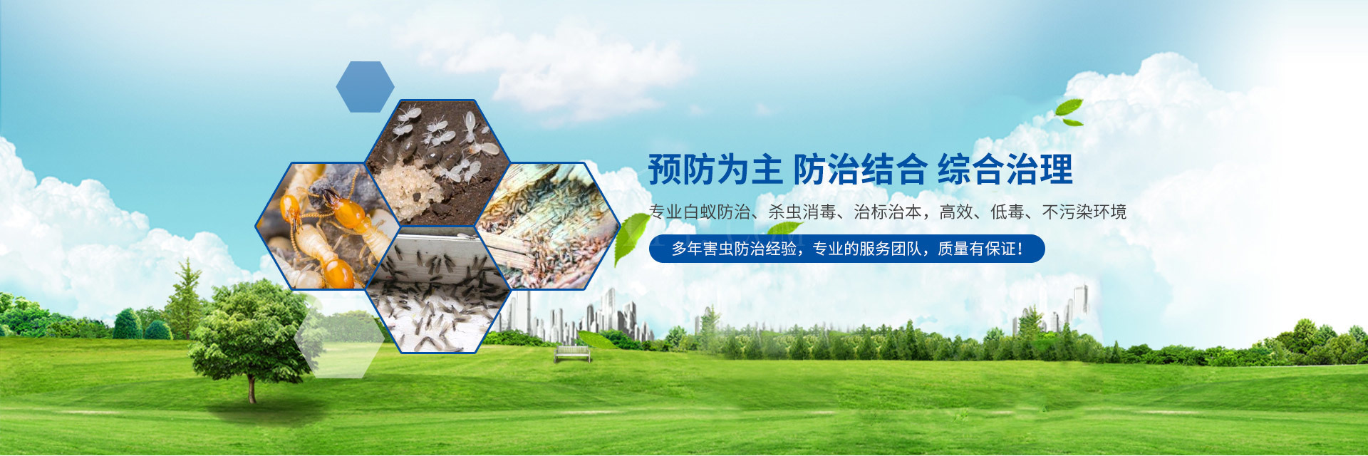 漳州新洁生物科技有限公司